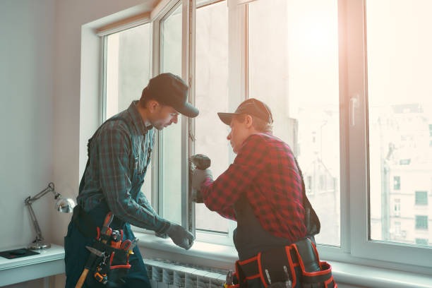 Why Choose Our Auto Glass Company in Tampa