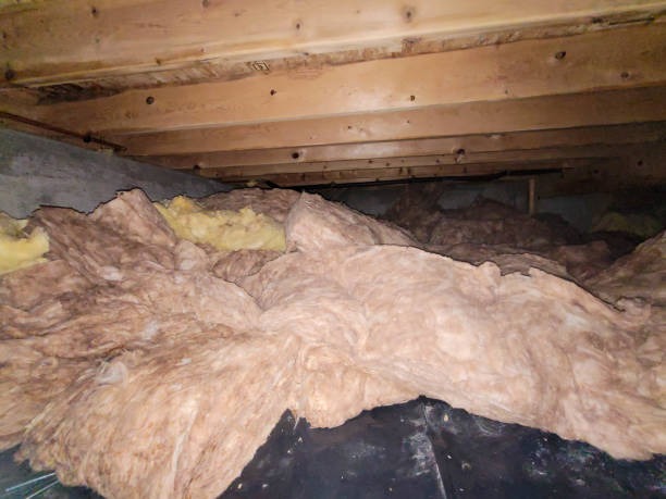 Get Started Now with Affordable Crawl Space Insulation