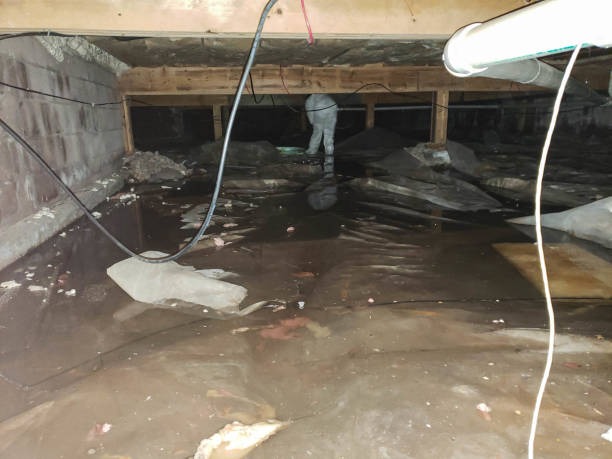 How Crawlspace Encapsulation Protects Your Home From Mold