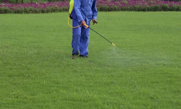 Affordable TurfMark Outdoor Solutions Mosquito Control Service Buford Book Today