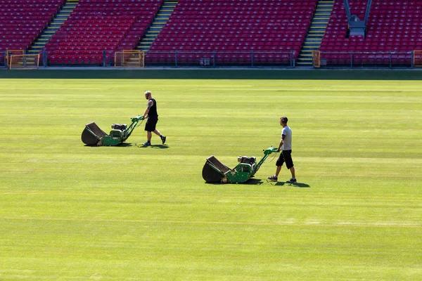 Top Reasons to Hire a Professional Local Mover