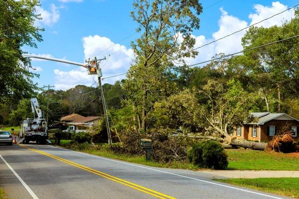 Expert Roof Restoration Services for Modern Homes