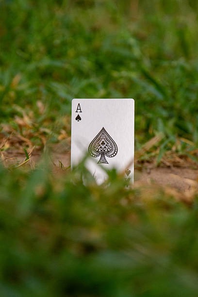 Complete Guide to siti di poker non aams