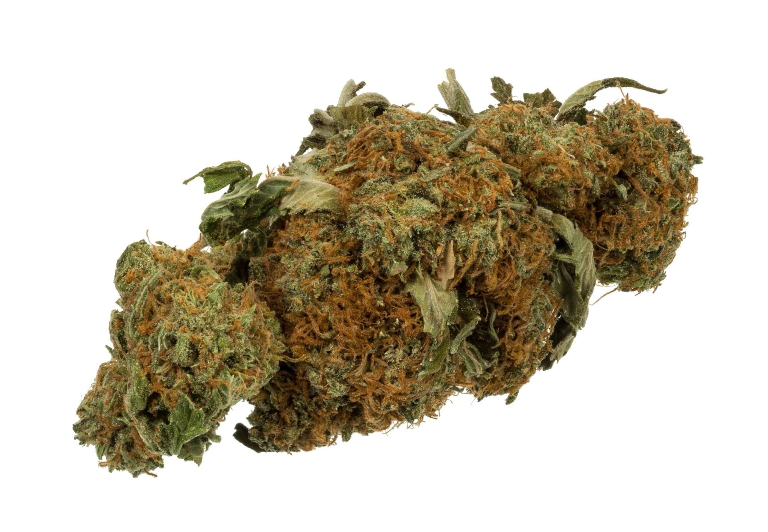 Find Trusted Cannabis Products Through Wiet Kopen Online With Complete Confidence
