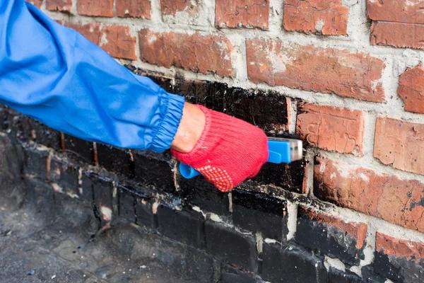 Complete Explore Our Services for Crawlspace Solutions